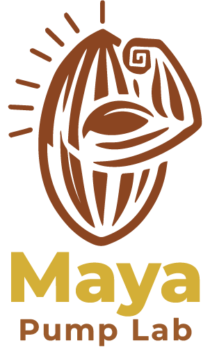 Ir a Maya Pump Lab